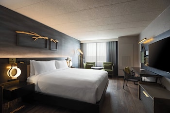 Room, 1 King Bed
