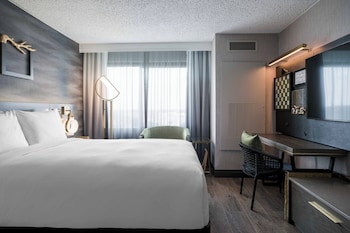 Room, 1 Queen Bed