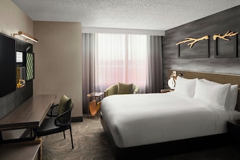 Room, 1 Queen Bed