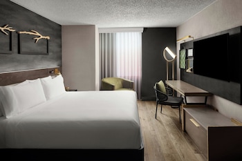 Junior Suite, 1 King Bed
