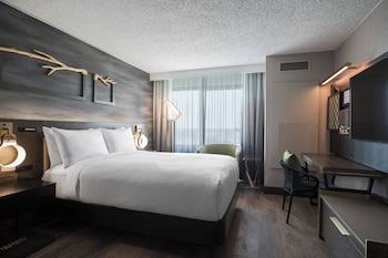 Room, 1 Queen Bed