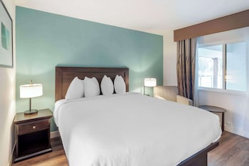 Standard Room, 1 King Bed, Non Smoking, Refrigerator