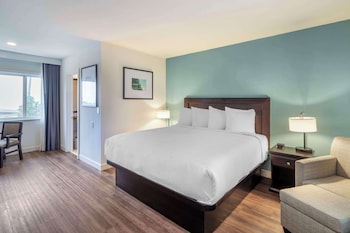 Standard Room, 1 King Bed, Non Smoking, Refrigerator