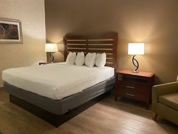 Room, 1 King Bed, Accessible