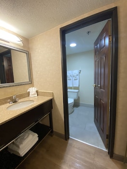 Room, 1 King Bed, Accessible