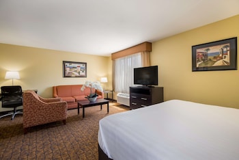 Standard Room, 1 King Bed, Non Smoking