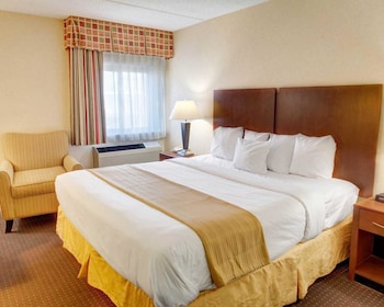Room, 1 King Bed, Non Smoking