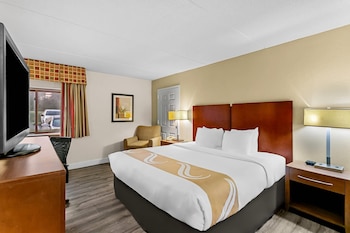 Room, 1 King Bed, Non Smoking