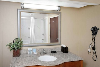 Room, 1 King Bed, Accessible, Non Smoking (Hearing, Roll-in Shower)