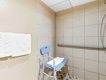 Room, 1 King Bed, Accessible, Non Smoking (Mobility, Roll-In Shower)