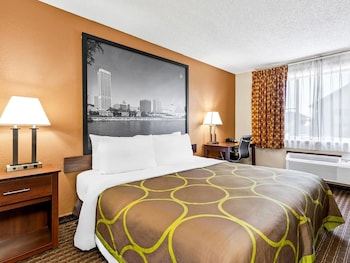Room, 1 King Bed, Accessible, Non Smoking (Mobility, Roll-In Shower)