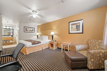 Standard Room, 1 King Bed, Non Smoking, Refrigerator & Microwave