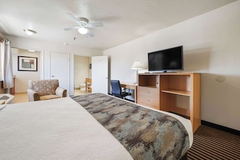Standard Room, 1 King Bed, Non Smoking, Kitchenette, Refrigerator & Microwave