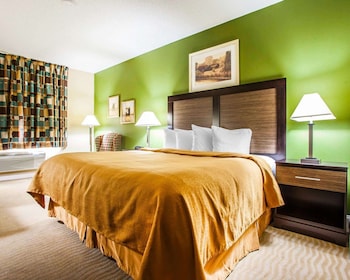 Standard Room, 1 King Bed, Non Smoking