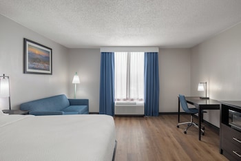 Suite, 1 King Bed