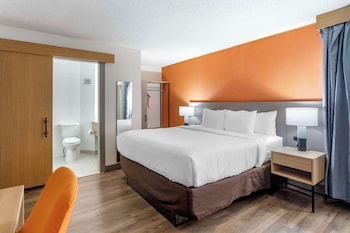Suite, 1 King Bed, Non Smoking (Upgrade)