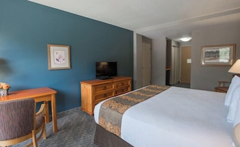 Basic Room, 1 King Bed