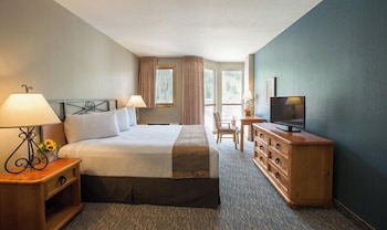 Basic Room, 1 King Bed, Mountain View