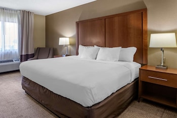 Standard Room, 1 King Bed, Non Smoking
