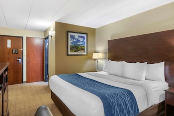 Standard Room, 1 King Bed, Non Smoking