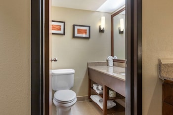 Suite, 1 King Bed with Sofa bed, Non Smoking