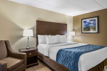 Standard Room, 1 King Bed, Accessible, Non Smoking (Accessible Bathtub)