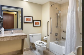 Standard Room, 1 King Bed, Accessible, Non Smoking (Accessible Bathtub)