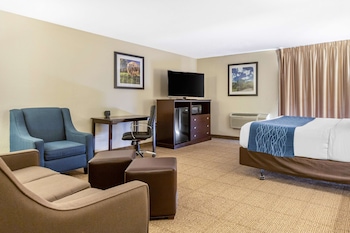 Suite, 1 King Bed, Non Smoking