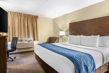 Standard Room, 1 King Bed, Accessible, Non Smoking (Accessible Bathtub)