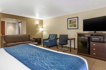 Suite, 1 King Bed, Non Smoking