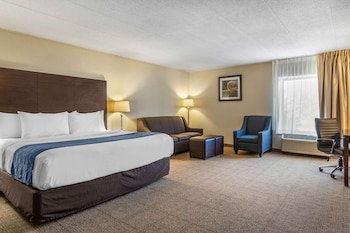 Room, 1 King Bed with Sofa bed, Non Smoking (2 Person Sofa Bed)