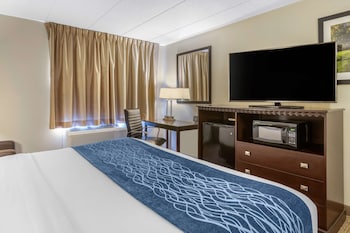 Standard Room, 1 King Bed, Non Smoking
