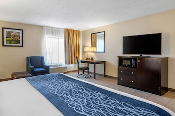 Room, 1 King Bed with Sofa bed, Non Smoking (2 Person Sofa Bed)