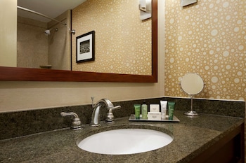 Room,1 King Bed Accessible, Bathtub