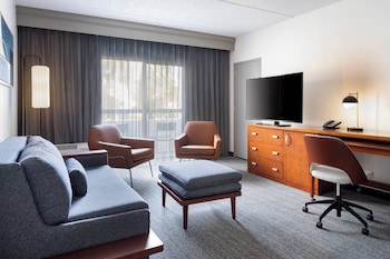 Suite, 1 King Bed with Sofa bed