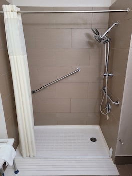 Room, 1 King Bed, Non Smoking (Roll in shower)
