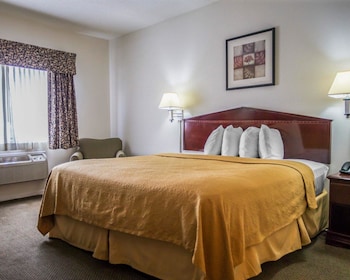 Room, 1 King Bed, Non Smoking (Roll in shower)