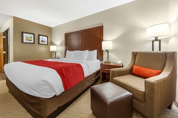 Room, 1 King Bed, Accessible, Non Smoking