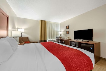 Room, 1 King Bed, Accessible, Non Smoking