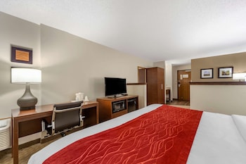 Suite, 1 King Bed with Sofa bed, Non Smoking