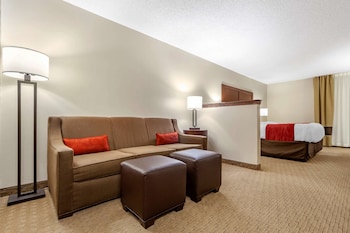 Suite, 1 King Bed with Sofa bed, Non Smoking