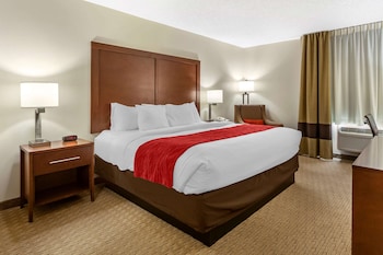 Room, 1 King Bed, Accessible, Non Smoking