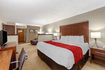 Suite, 1 King Bed with Sofa bed, Non Smoking