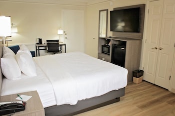 Room, 1 King Bed, Accessible, Non Smoking (Accessible Tub)