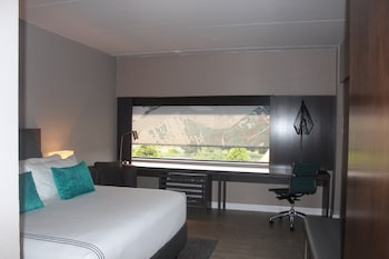 Standard Room, 1 King Bed, Accessible, Non Smoking