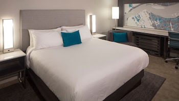 Standard Room, 1 King Bed, Accessible (Roll-In Shower)