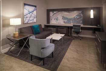 Suite, 1 King Bed, Roll-in Shower (Roll-In Shower)
