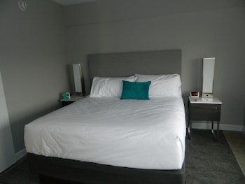 Standard Room, 1 King Bed, Accessible (Roll-In Shower)