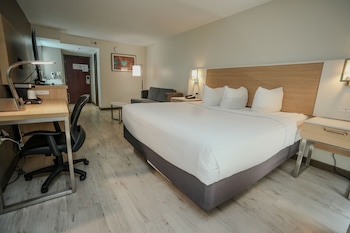 Deluxe Room, 1 King Bed with Sofa bed