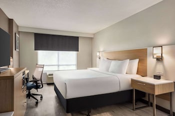 Room, 1 King Bed, Non Smoking (Mobility Accessible)